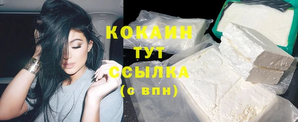 соль ск Абаза