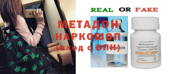 индика Алексин