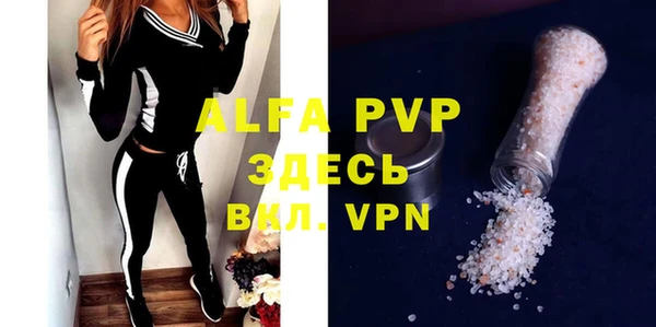 индика Алексин
