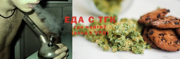 индика Алексин
