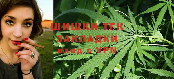 дмт Алексеевка