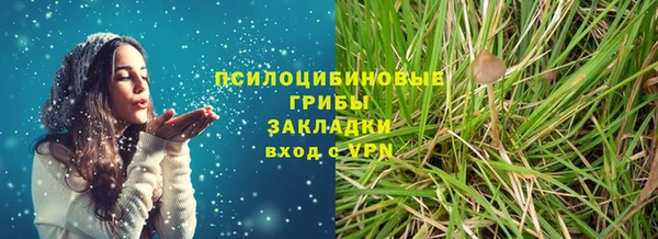 соль ск Абаза
