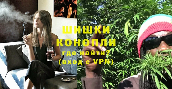 соль ск Абаза