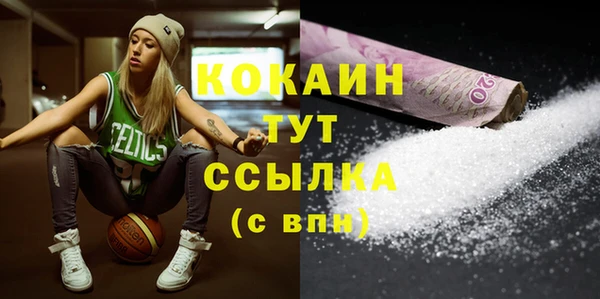соль ск Абаза