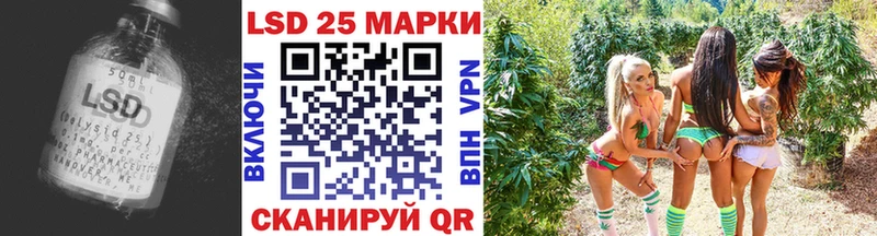 сколько стоит  Ессентукская  kraken вход  ЛСД экстази ecstasy 